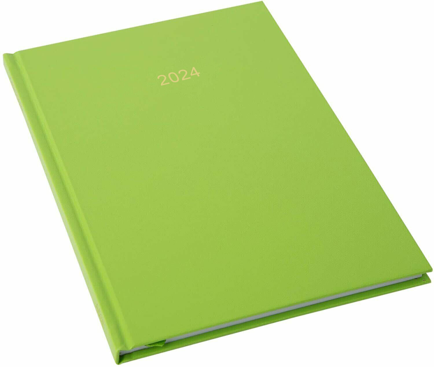 2025 A5 Diary Page A Day