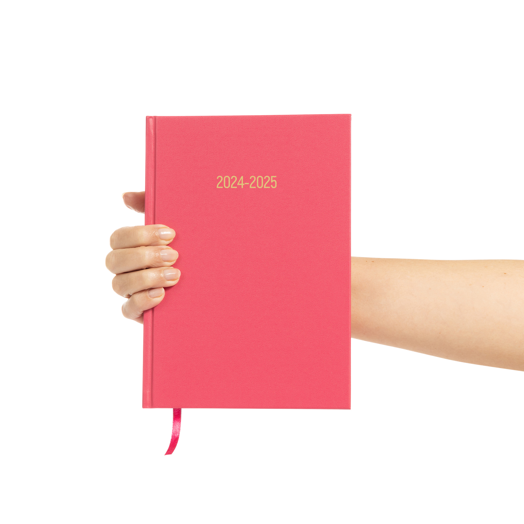 2024-2025 A5 Academic Page A Day Cerise Pink Diary - Evelay